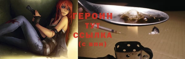 стаф Новозыбков