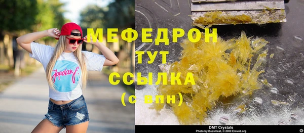 стаф Новозыбков