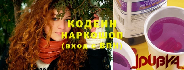 стаф Новозыбков
