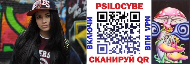 Псилоцибиновые грибы Cubensis  цена наркотик  darknet наркотические препараты  Курчалой 