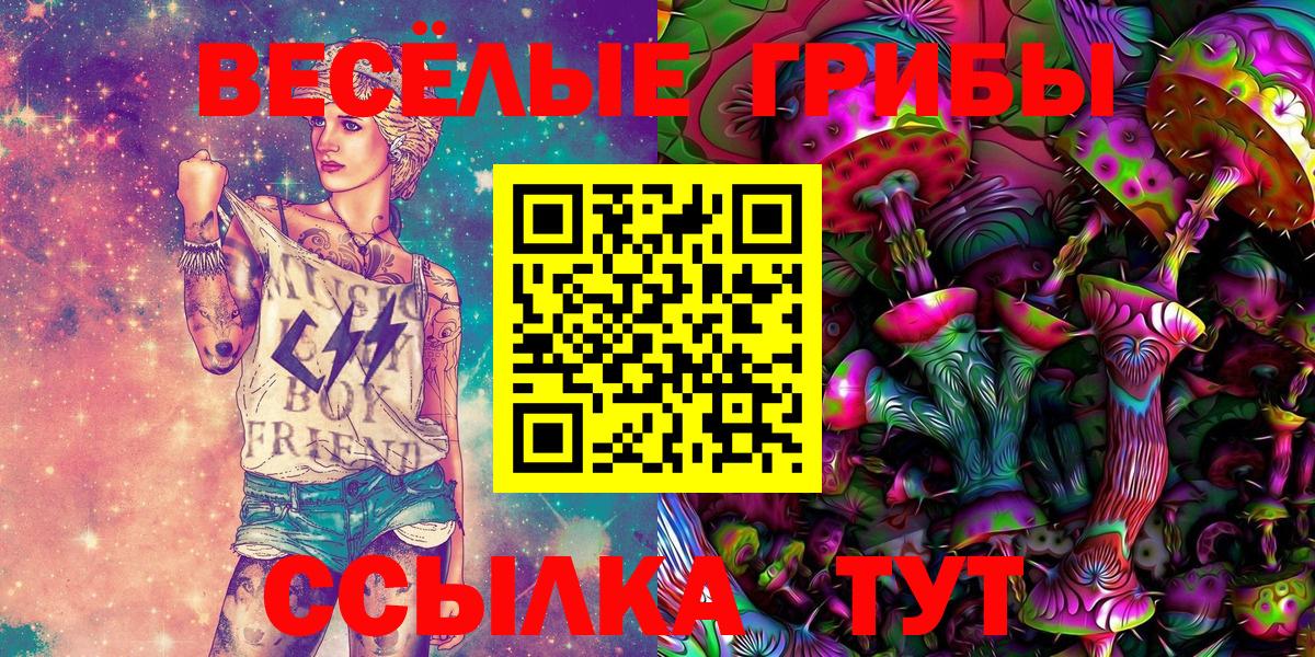 Курчалой  Галлюциногенные грибы GOLDEN TEACHER  Вход с VPN  Галлюциногенные грибы GOLDEN TEACHER 