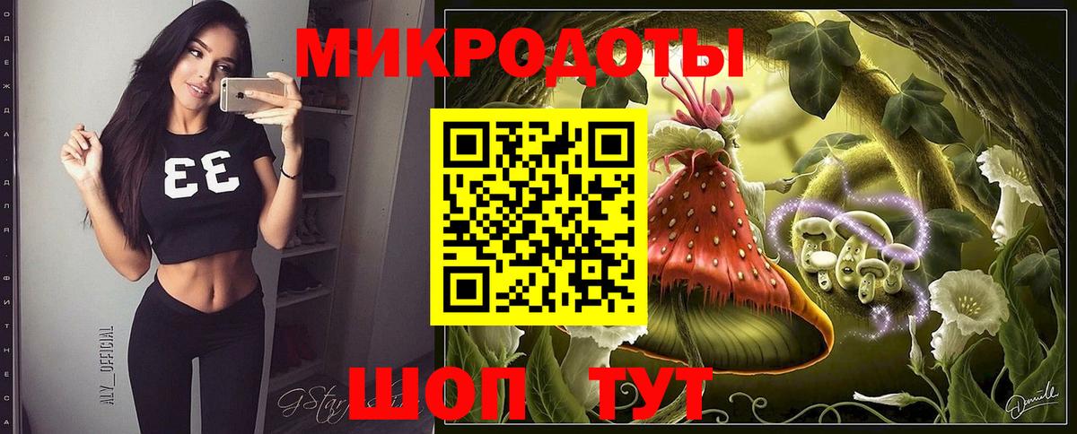 Галлюциногенные грибы Psilocybe Курчалой