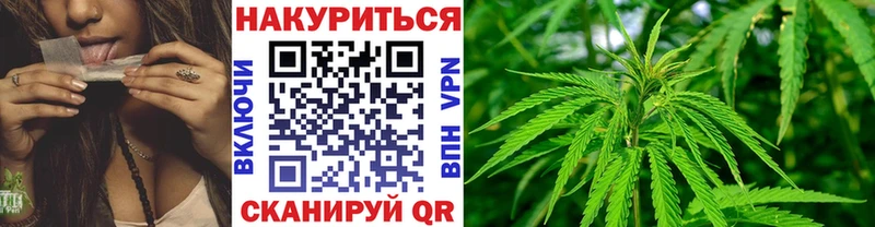 Бошки Шишки MAZAR купить наркоту Курчалой